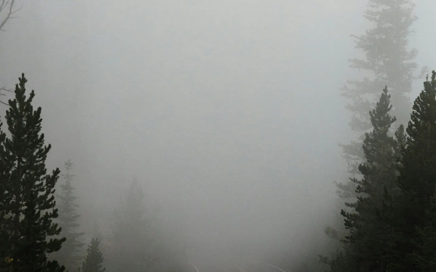 empty road surrounded with trees with fog by Katie Moum courtesy of Unsplash.